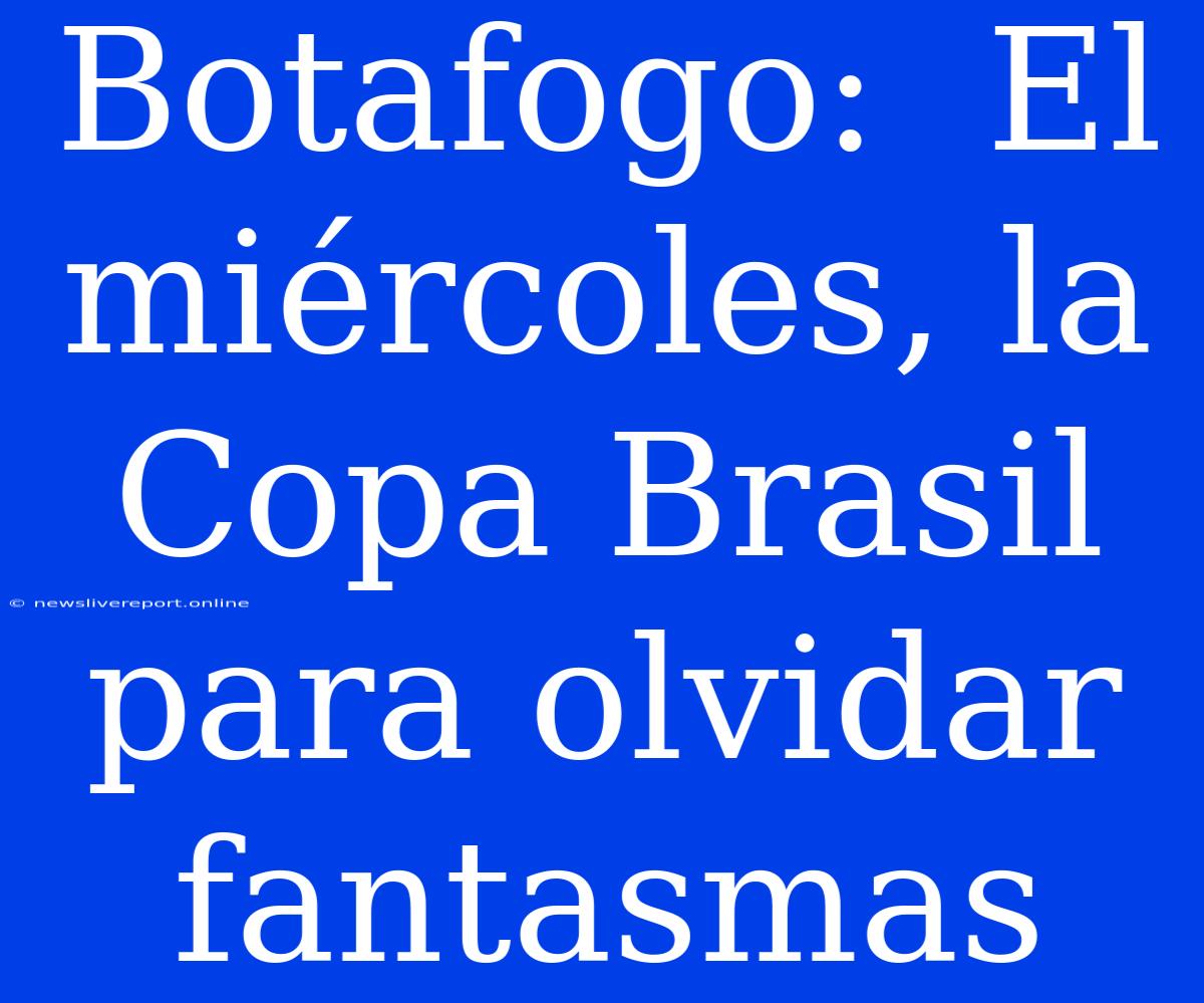 Botafogo:  El Miércoles, La Copa Brasil Para Olvidar Fantasmas