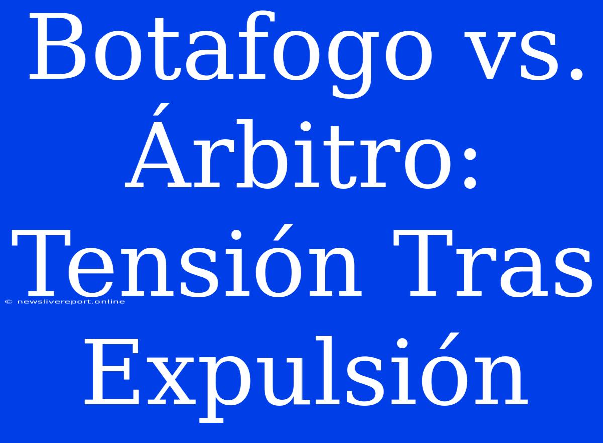 Botafogo Vs. Árbitro: Tensión Tras Expulsión