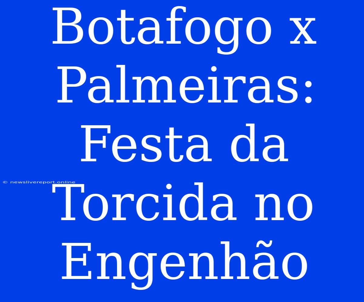 Botafogo X Palmeiras: Festa Da Torcida No Engenhão