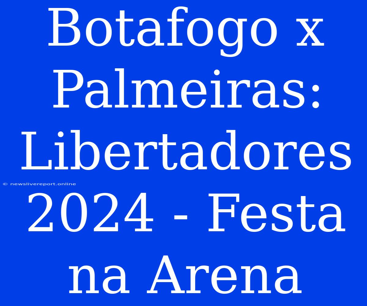 Botafogo X Palmeiras:  Libertadores 2024 - Festa Na Arena