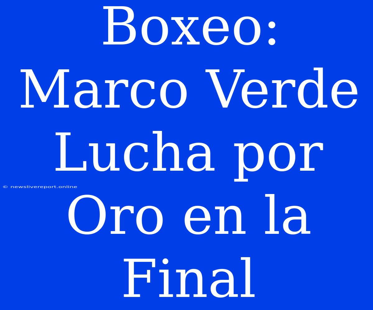 Boxeo: Marco Verde Lucha Por Oro En La Final