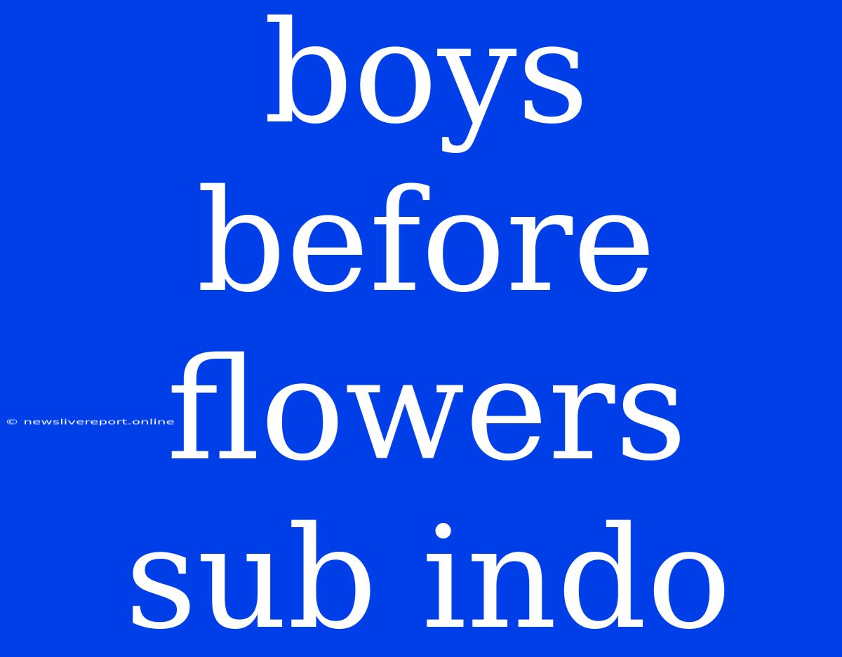 Boys Before Flowers Sub Indo