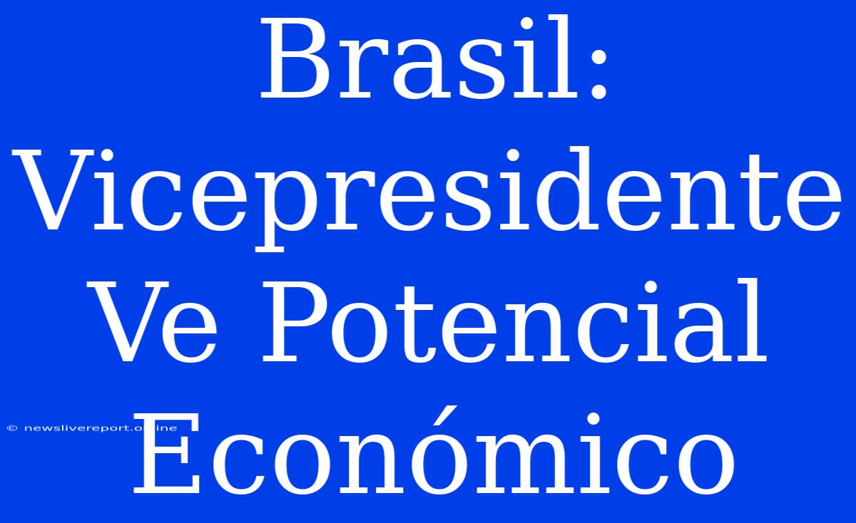 Brasil: Vicepresidente Ve Potencial Económico