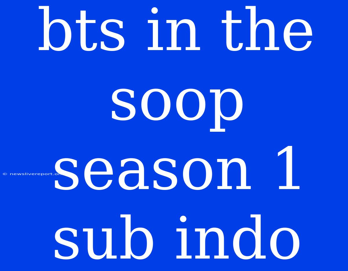 Bts In The Soop Season 1 Sub Indo