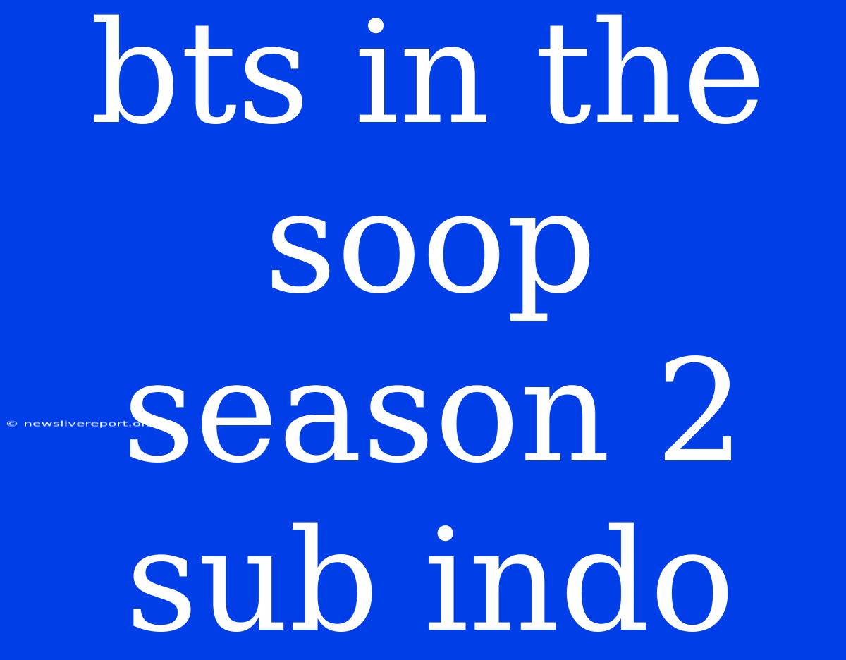 Bts In The Soop Season 2 Sub Indo