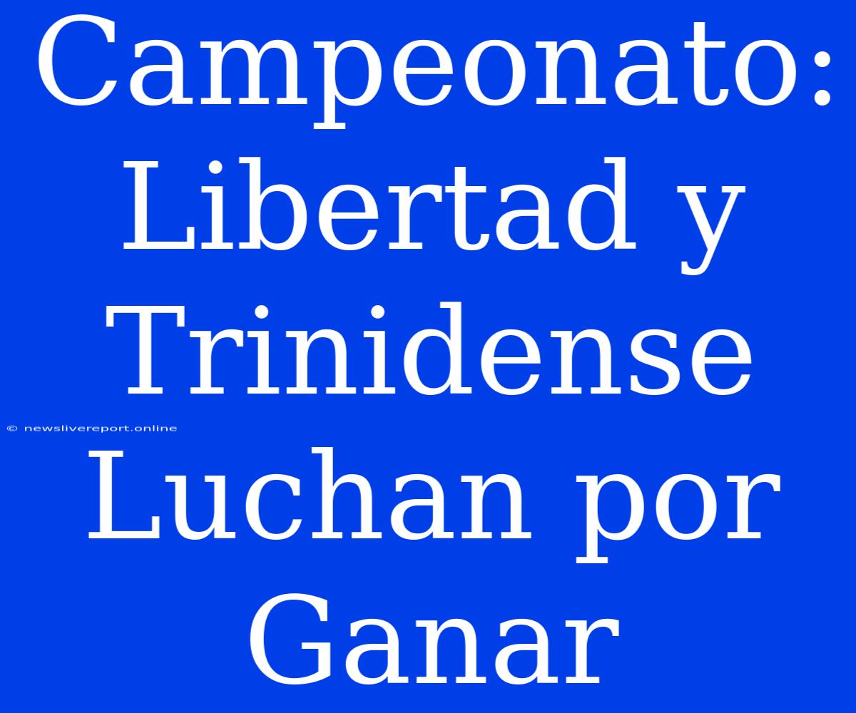 Campeonato:  Libertad Y Trinidense Luchan Por Ganar