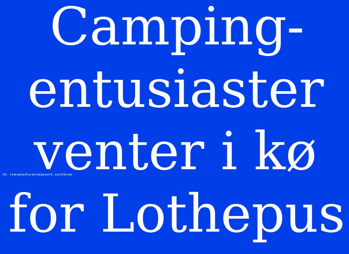 Camping-entusiaster Venter I Kø For Lothepus