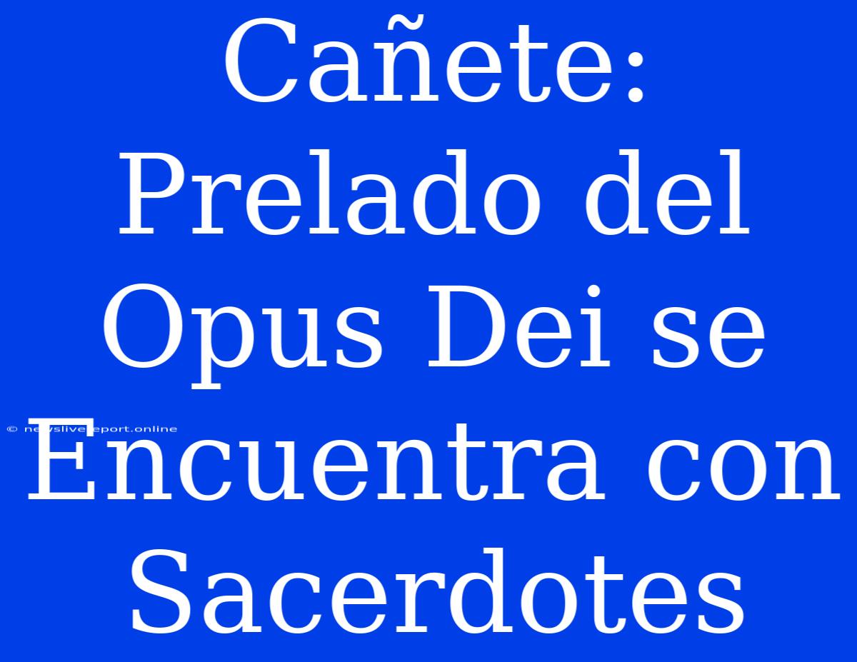 Cañete: Prelado Del Opus Dei Se Encuentra Con Sacerdotes