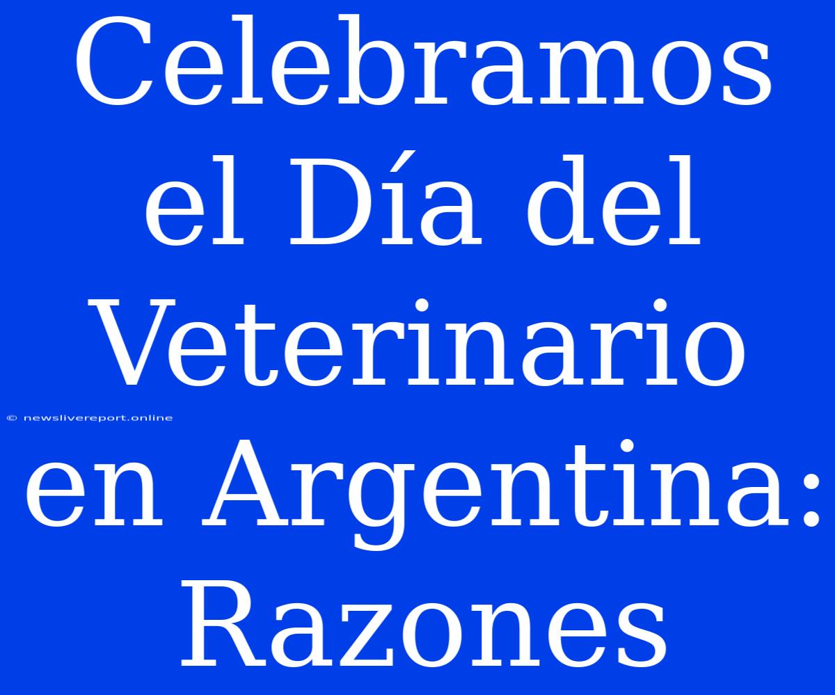 Celebramos El Día Del Veterinario En Argentina: Razones