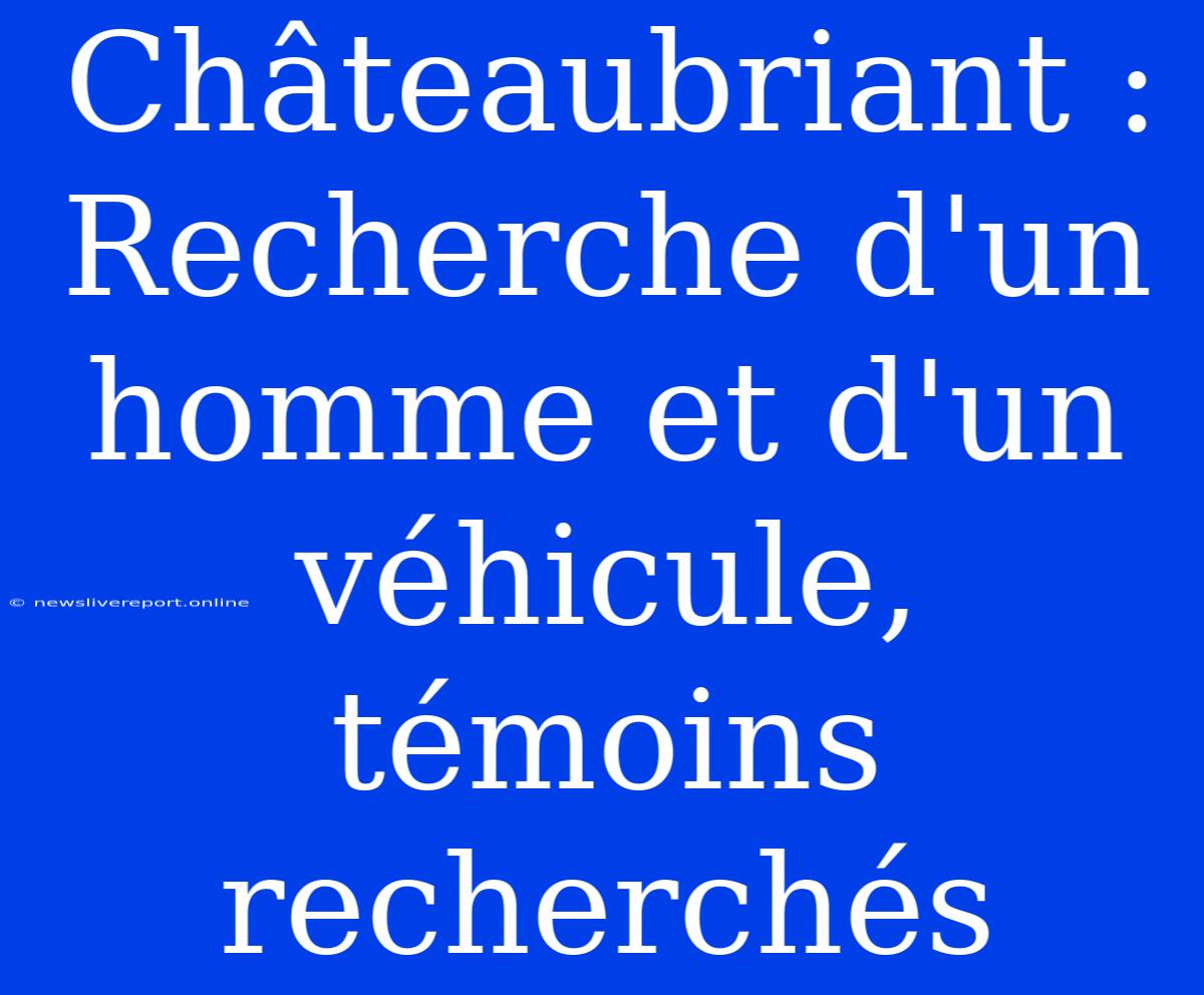 Châteaubriant : Recherche D'un Homme Et D'un Véhicule, Témoins Recherchés