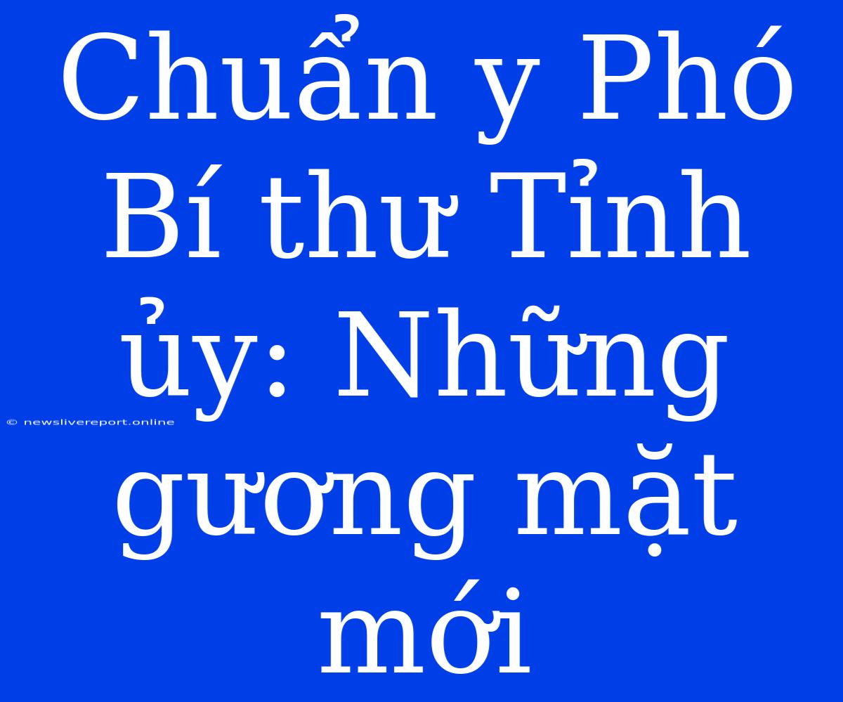 Chuẩn Y Phó Bí Thư Tỉnh Ủy: Những Gương Mặt Mới