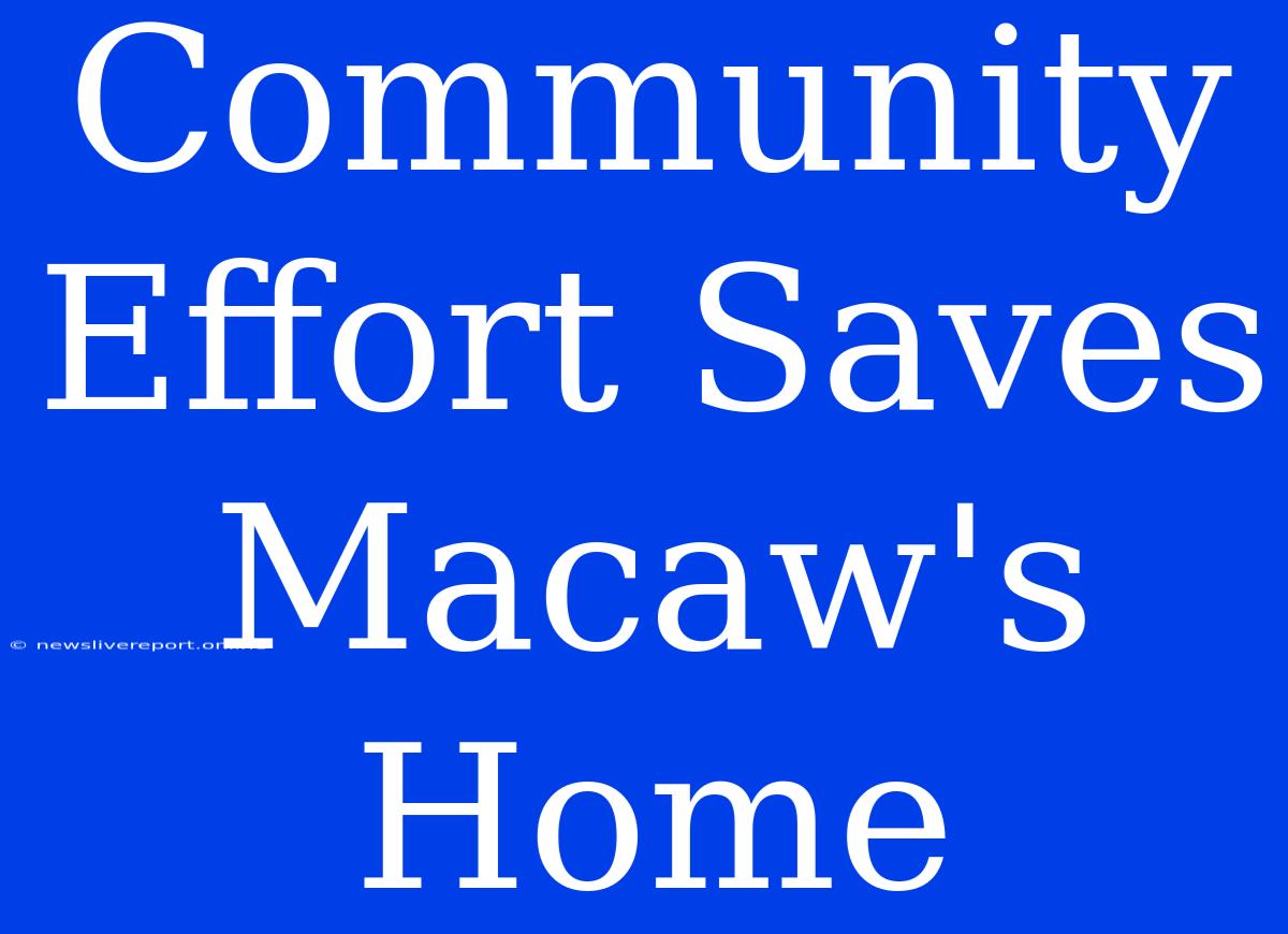 Community Effort Saves Macaw's Home