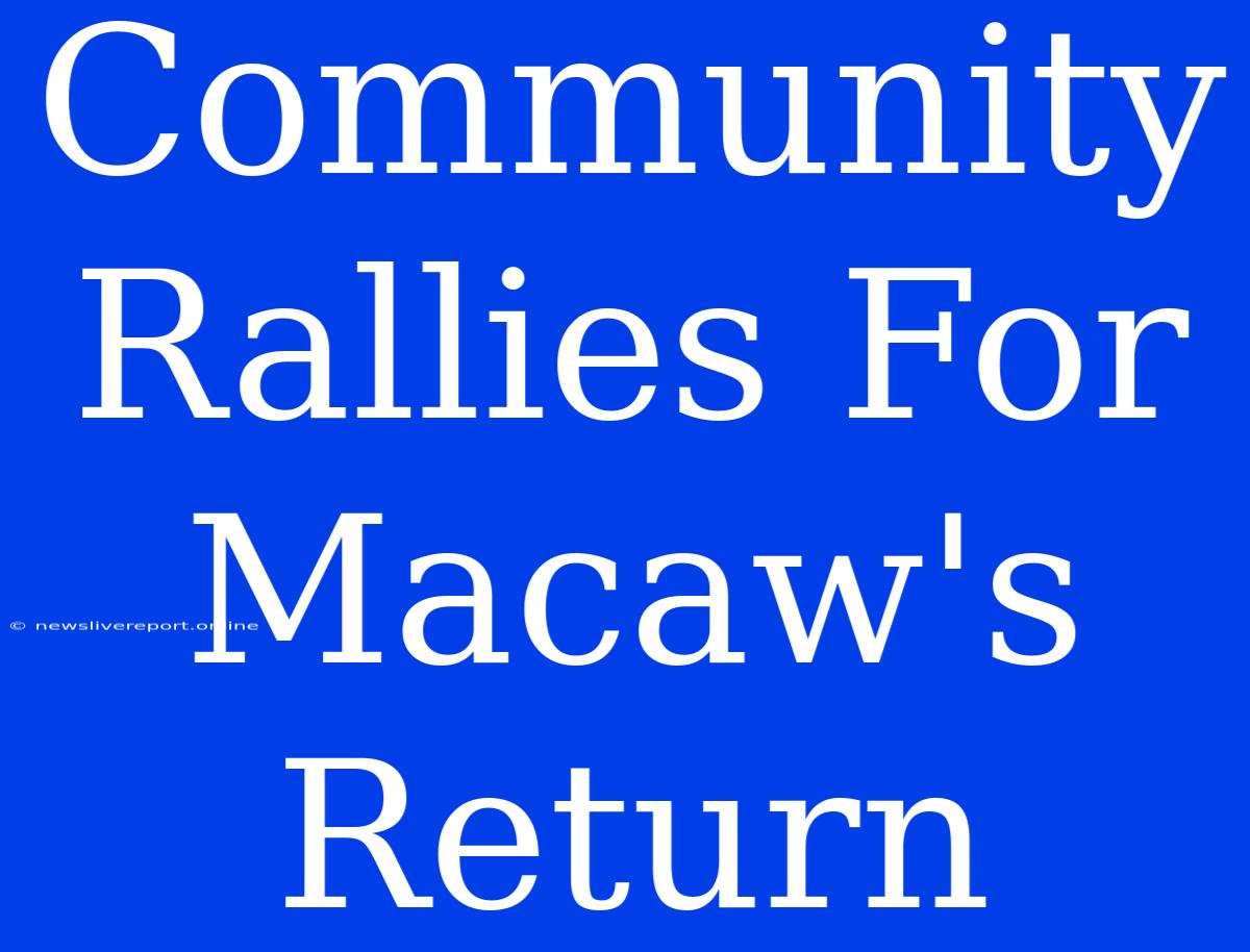 Community Rallies For Macaw's Return