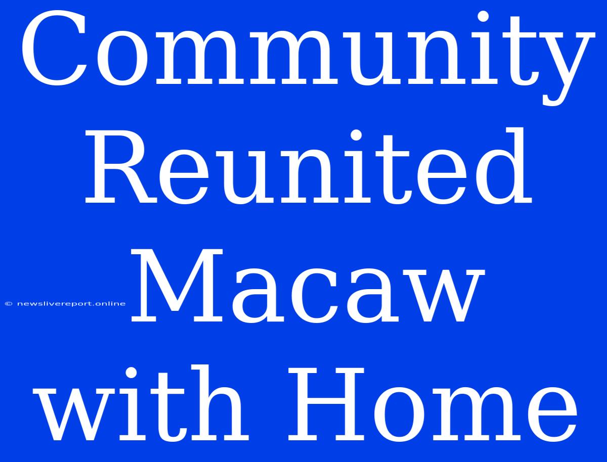 Community Reunited Macaw With Home