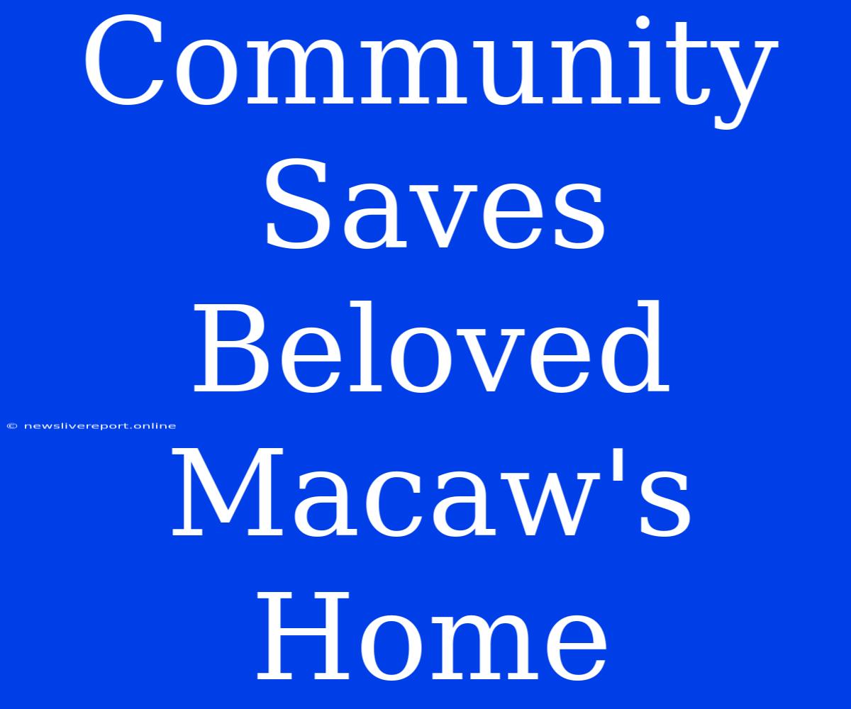 Community Saves Beloved Macaw's Home