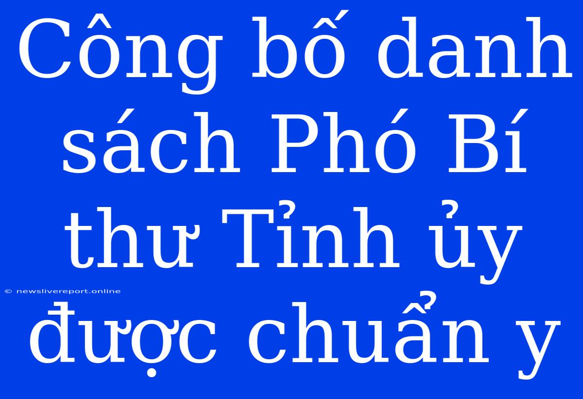 Công Bố Danh Sách Phó Bí Thư Tỉnh Ủy Được Chuẩn Y