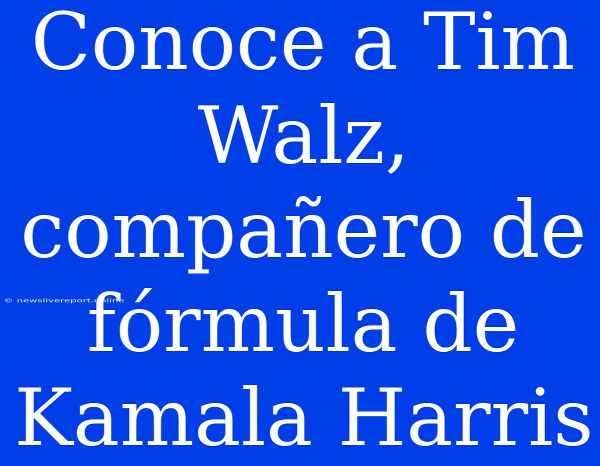 Conoce A Tim Walz, Compañero De Fórmula De Kamala Harris