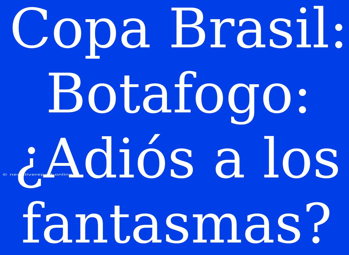 Copa Brasil: Botafogo: ¿Adiós A Los Fantasmas?