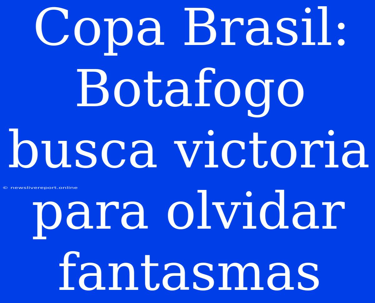 Copa Brasil: Botafogo Busca Victoria Para Olvidar Fantasmas