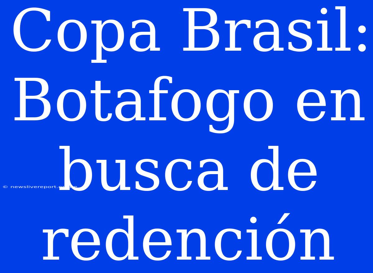 Copa Brasil: Botafogo En Busca De Redención