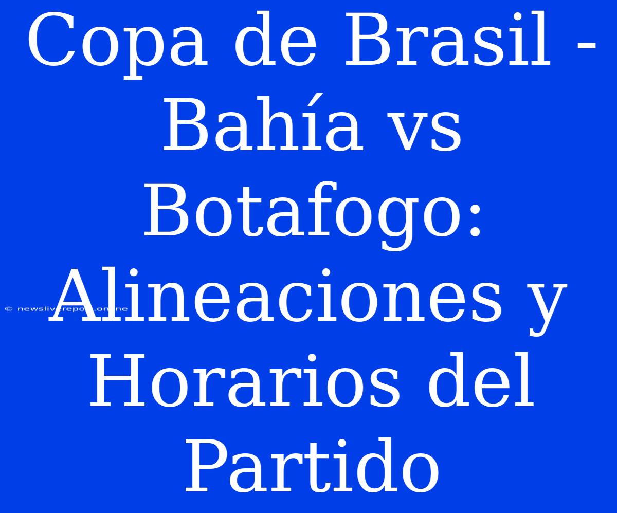 Copa De Brasil - Bahía Vs Botafogo: Alineaciones Y Horarios Del Partido