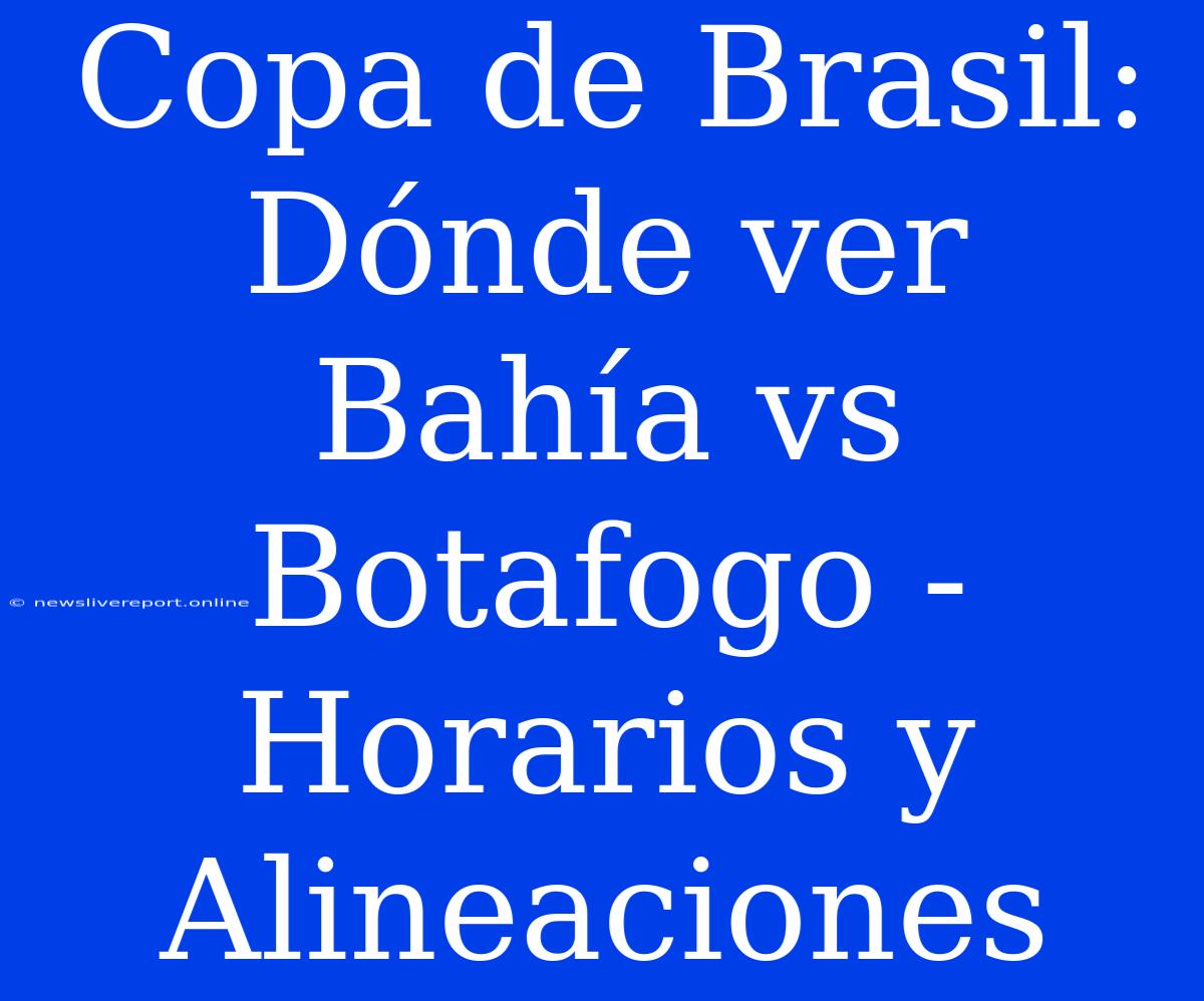 Copa De Brasil: Dónde Ver Bahía Vs Botafogo - Horarios Y Alineaciones