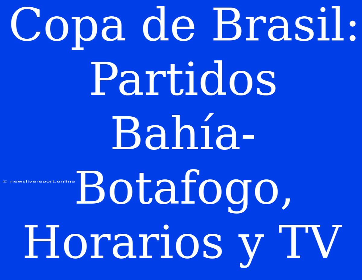 Copa De Brasil: Partidos Bahía-Botafogo, Horarios Y TV