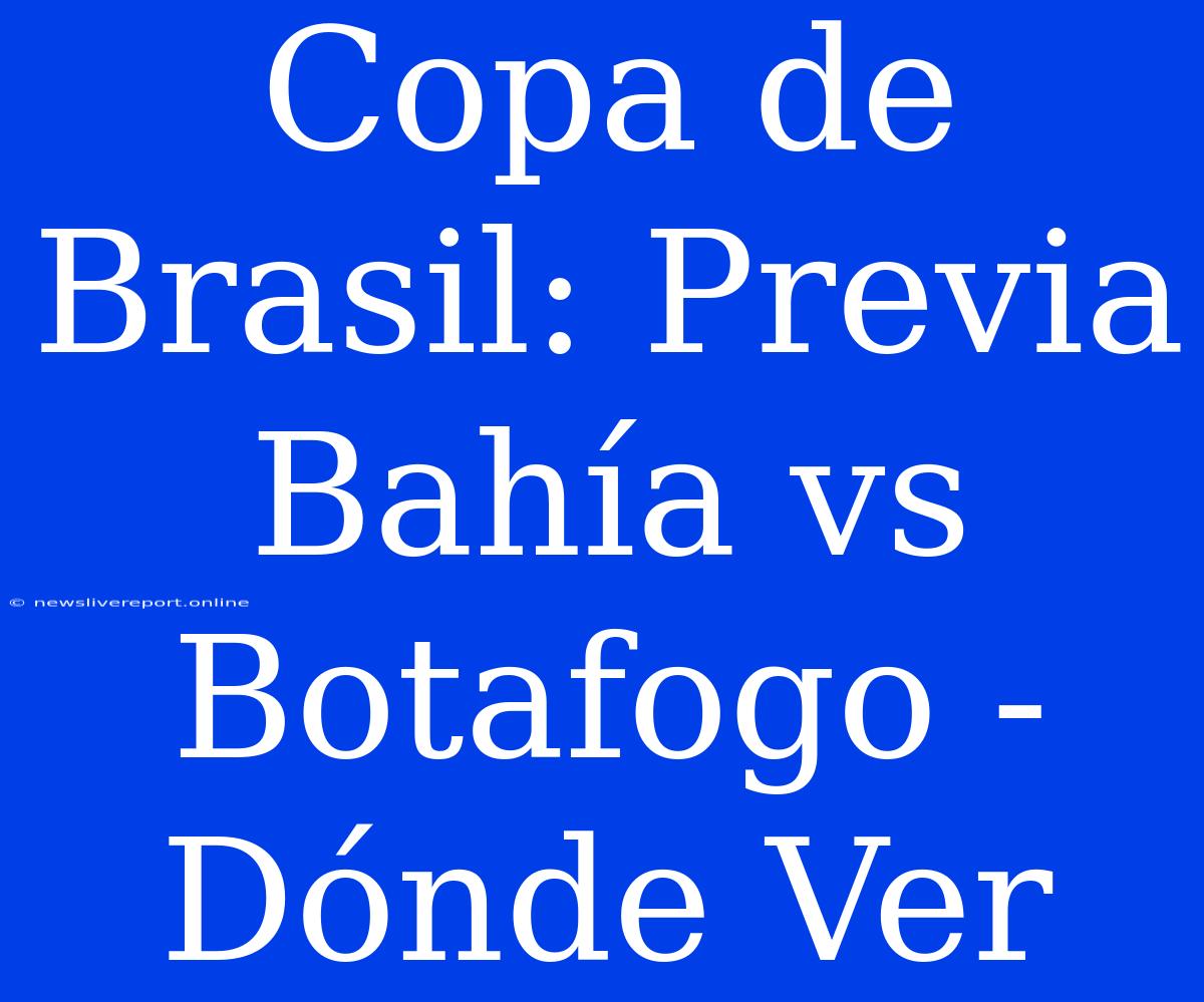 Copa De Brasil: Previa Bahía Vs Botafogo - Dónde Ver