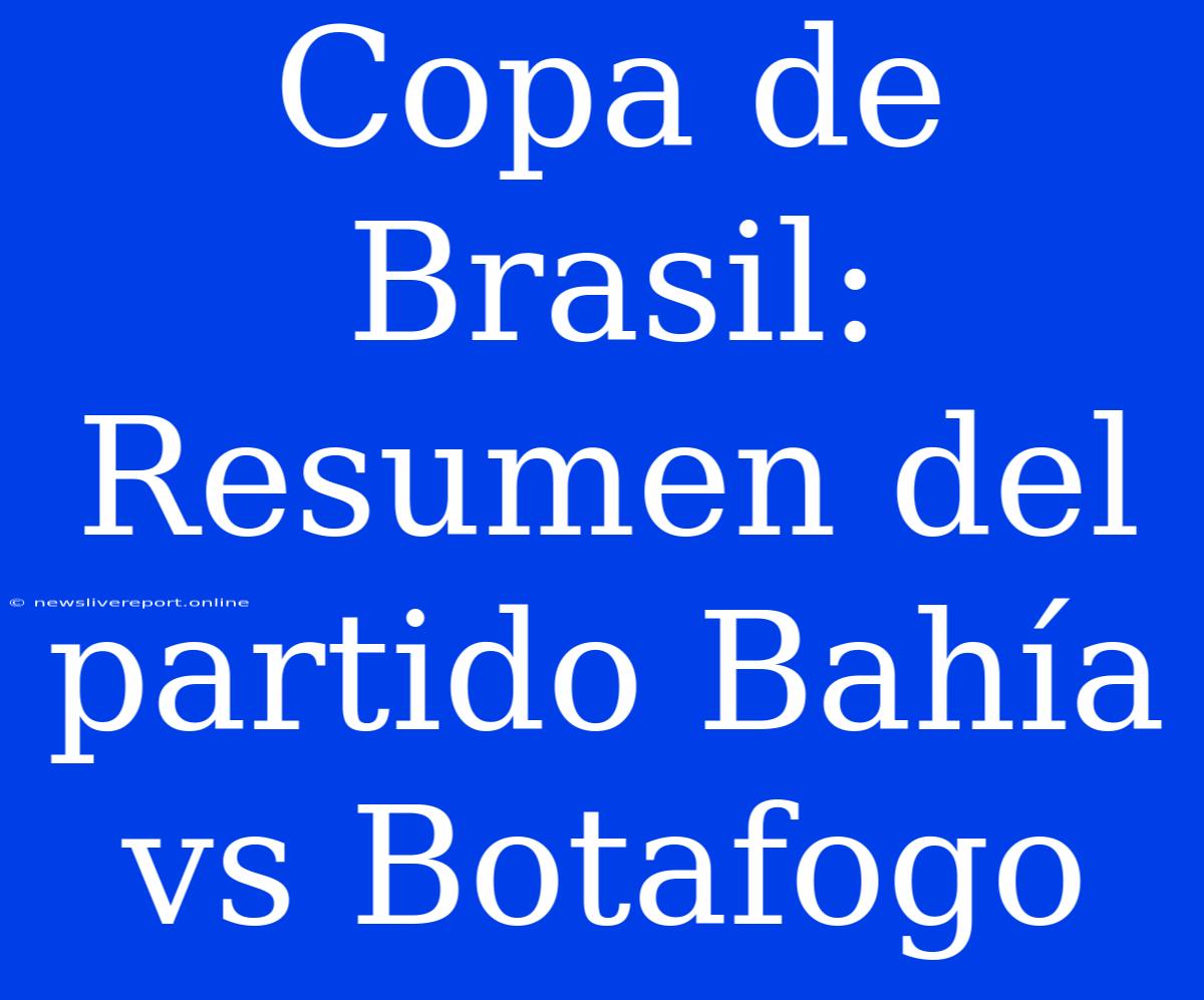 Copa De Brasil: Resumen Del Partido Bahía Vs Botafogo