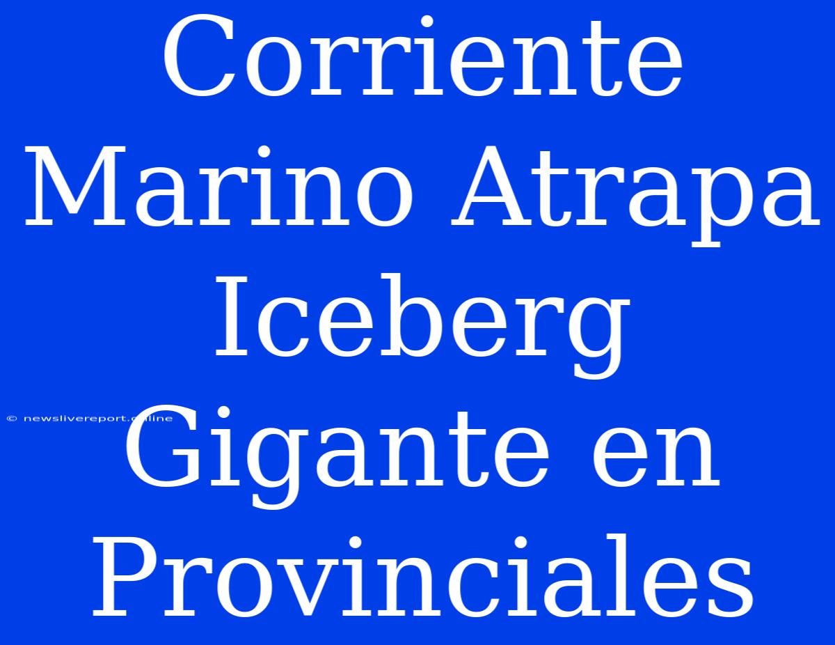 Corriente Marino Atrapa Iceberg Gigante En Provinciales