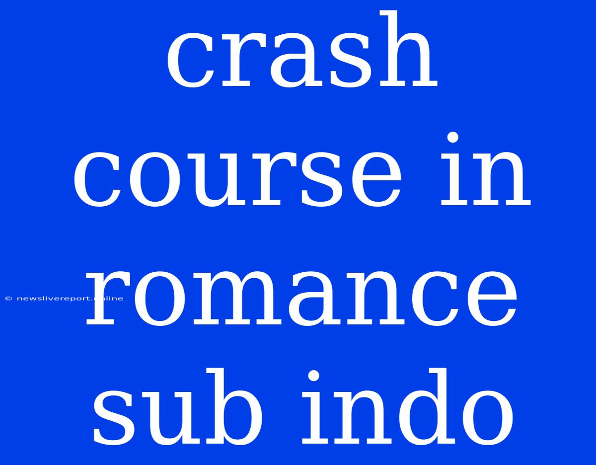 Crash Course In Romance Sub Indo