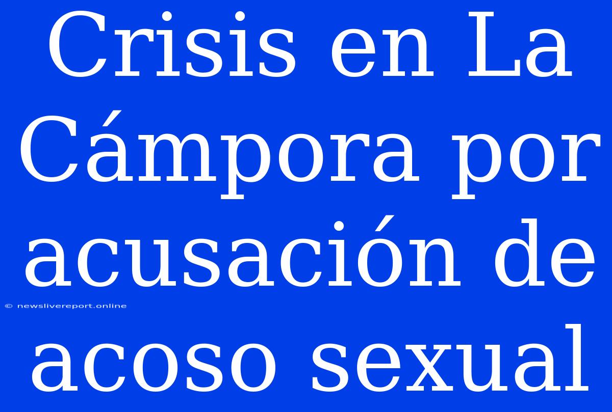 Crisis En La Cámpora Por Acusación De Acoso Sexual