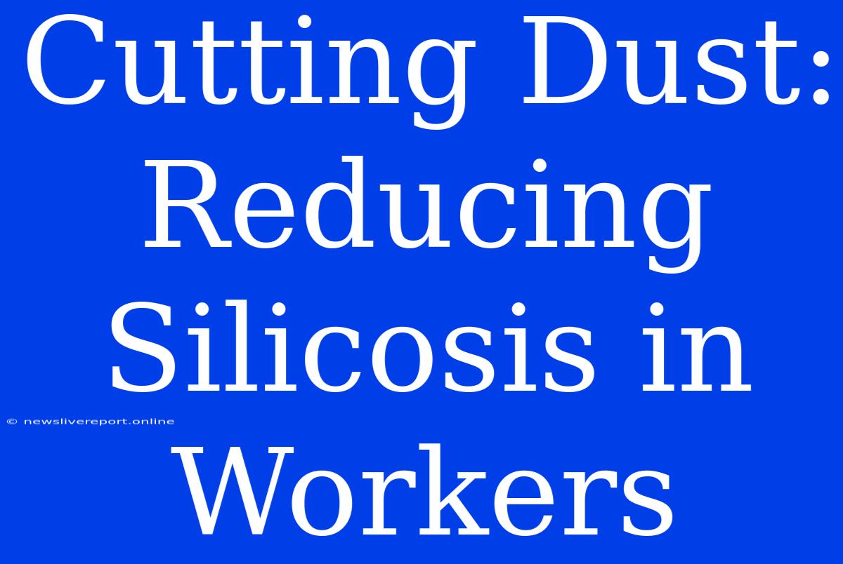 Cutting Dust: Reducing Silicosis In Workers