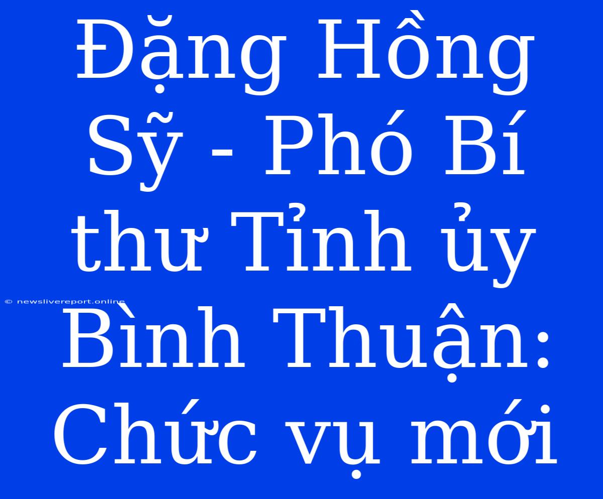 Đặng Hồng Sỹ - Phó Bí Thư Tỉnh Ủy Bình Thuận: Chức Vụ Mới