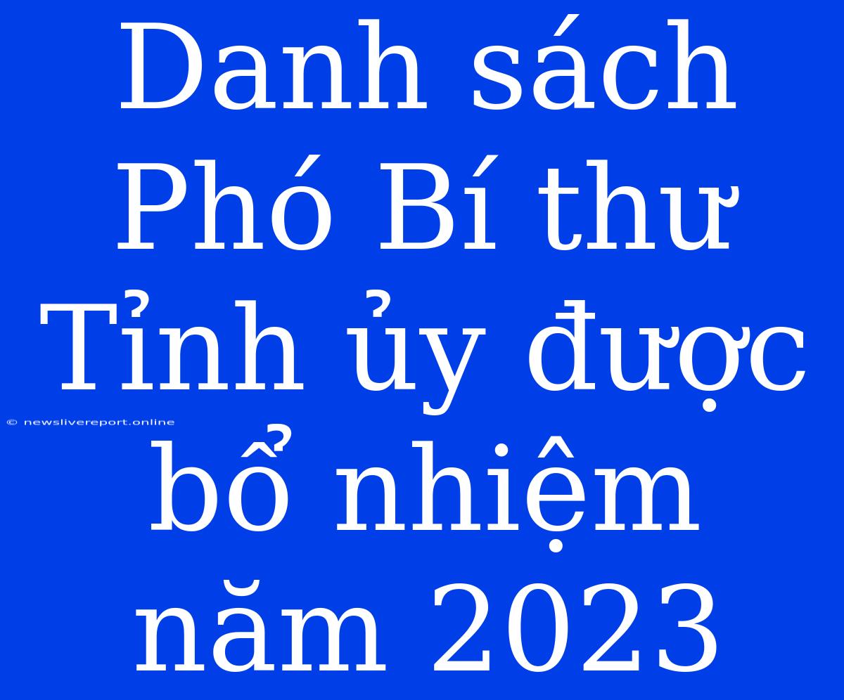 Danh Sách Phó Bí Thư Tỉnh Ủy Được Bổ Nhiệm Năm 2023