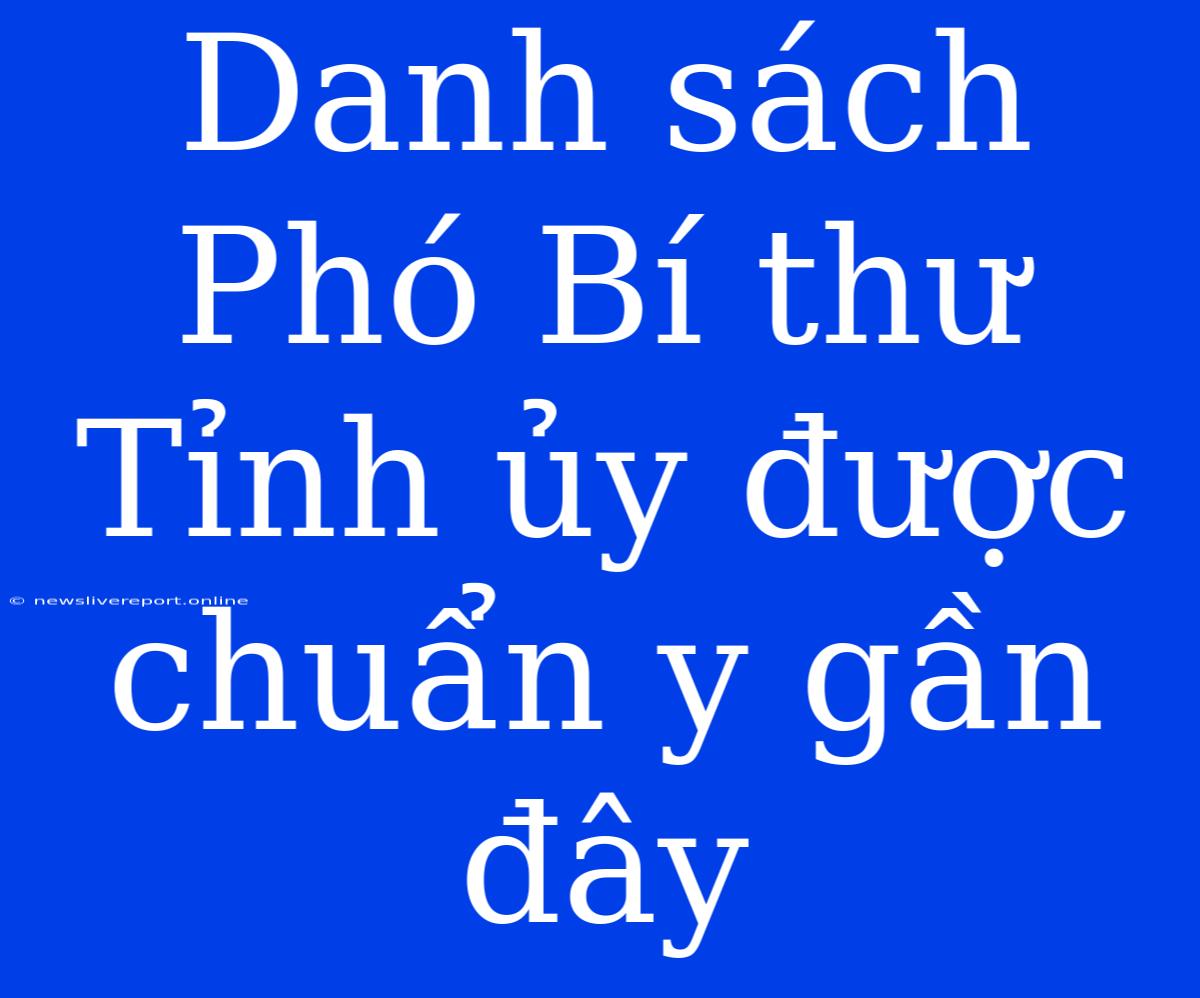 Danh Sách Phó Bí Thư Tỉnh Ủy Được Chuẩn Y Gần Đây