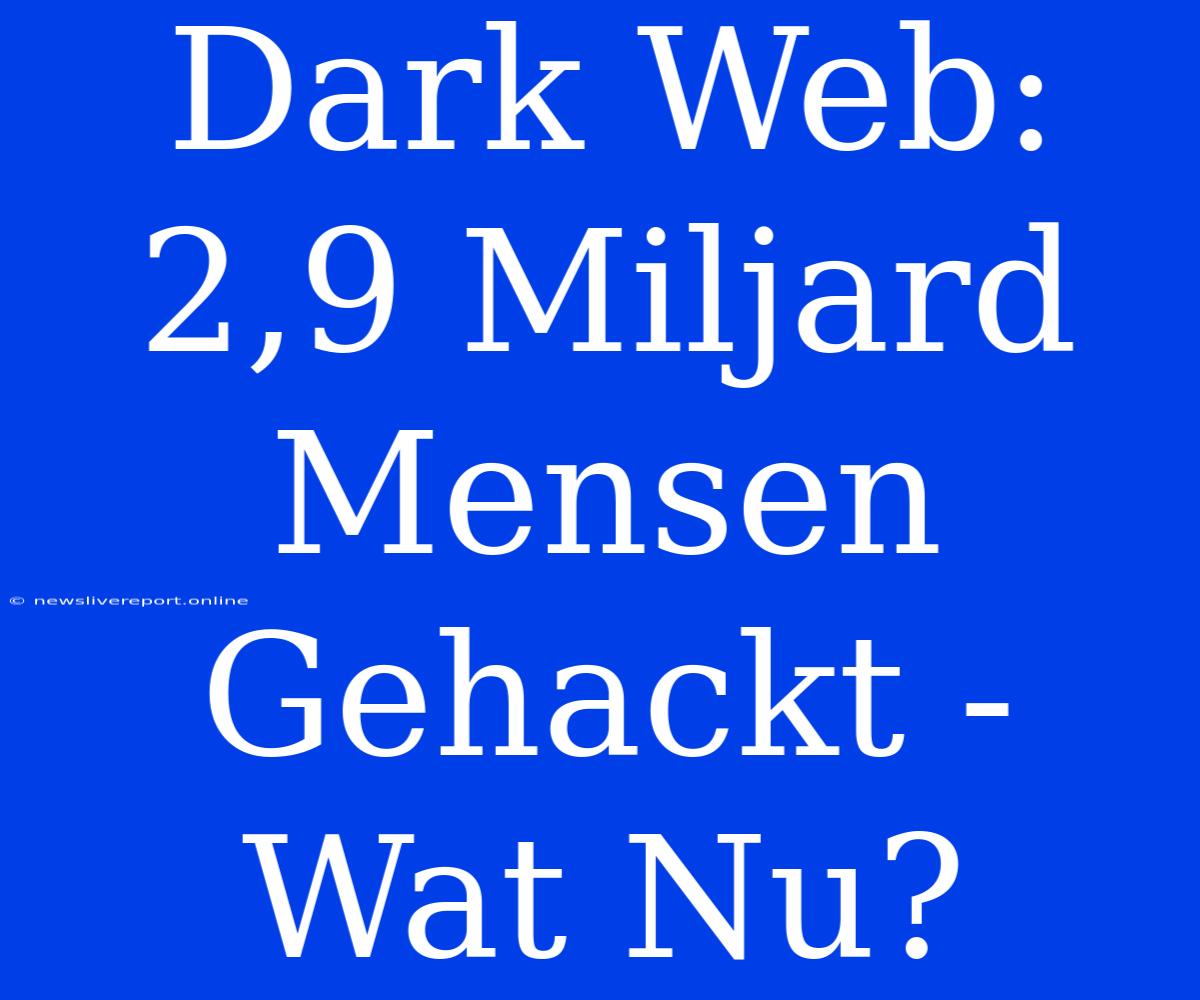 Dark Web: 2,9 Miljard Mensen Gehackt - Wat Nu?