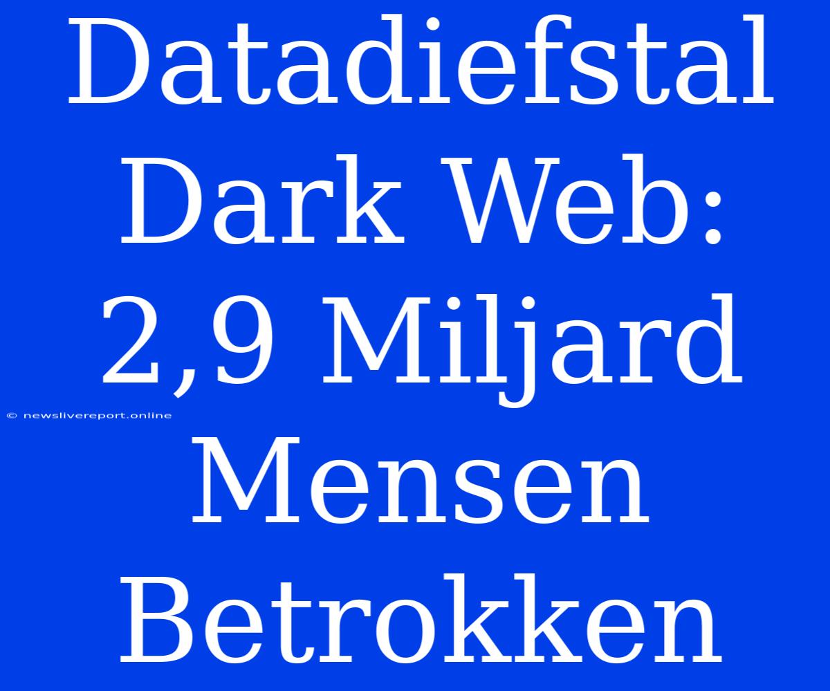 Datadiefstal Dark Web: 2,9 Miljard Mensen Betrokken