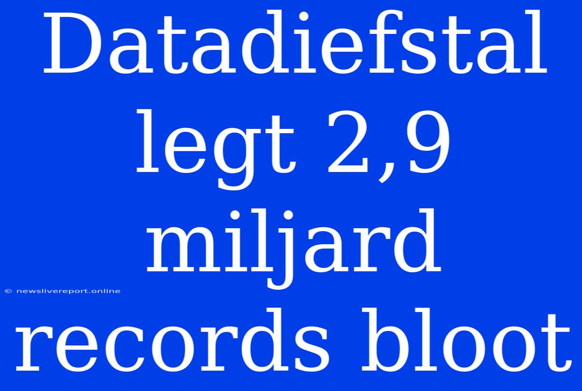 Datadiefstal Legt 2,9 Miljard Records Bloot