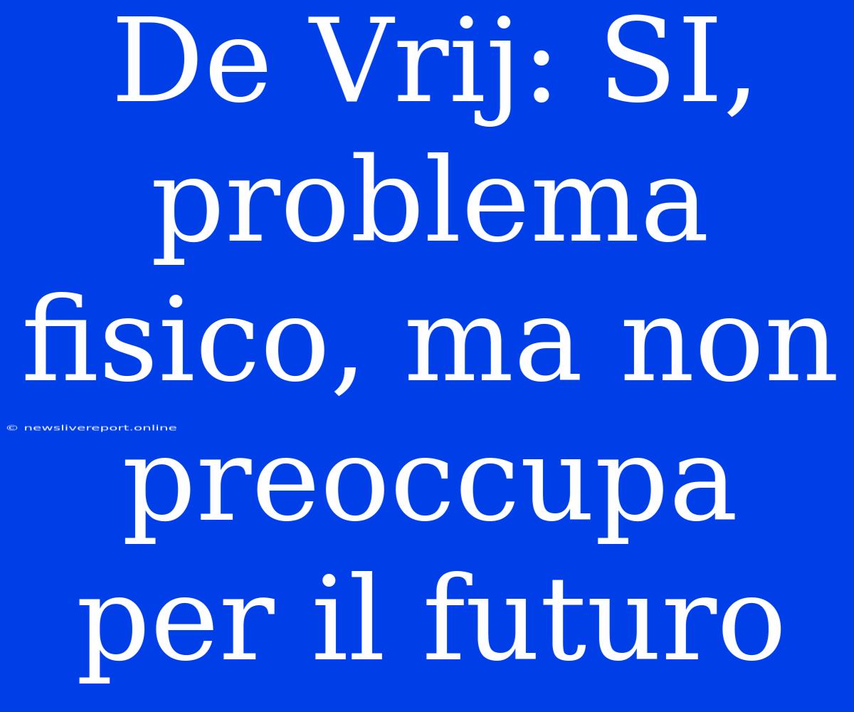 De Vrij: SI, Problema Fisico, Ma Non Preoccupa Per Il Futuro