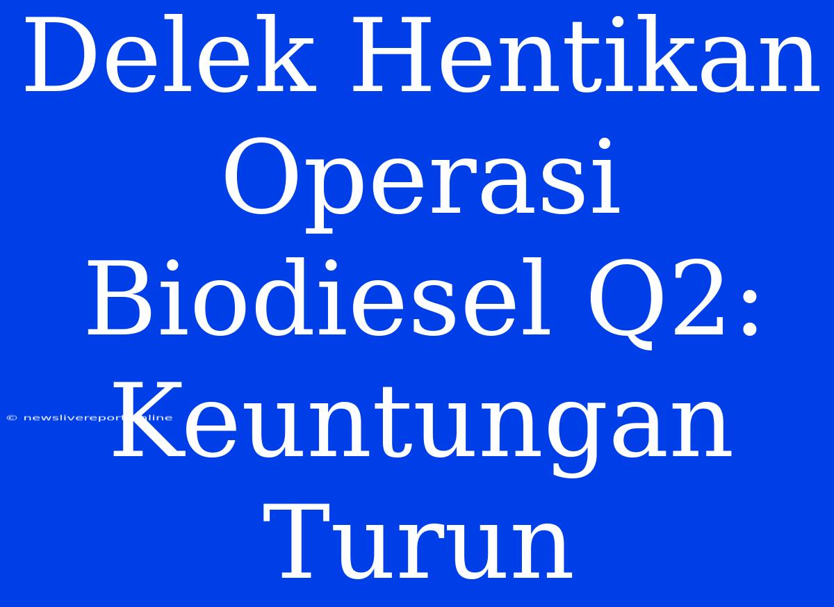 Delek Hentikan Operasi Biodiesel Q2: Keuntungan Turun