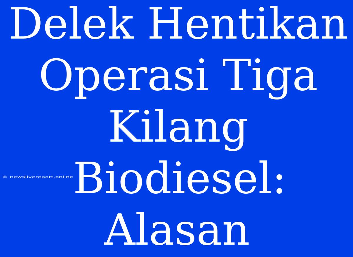 Delek Hentikan Operasi Tiga Kilang Biodiesel: Alasan