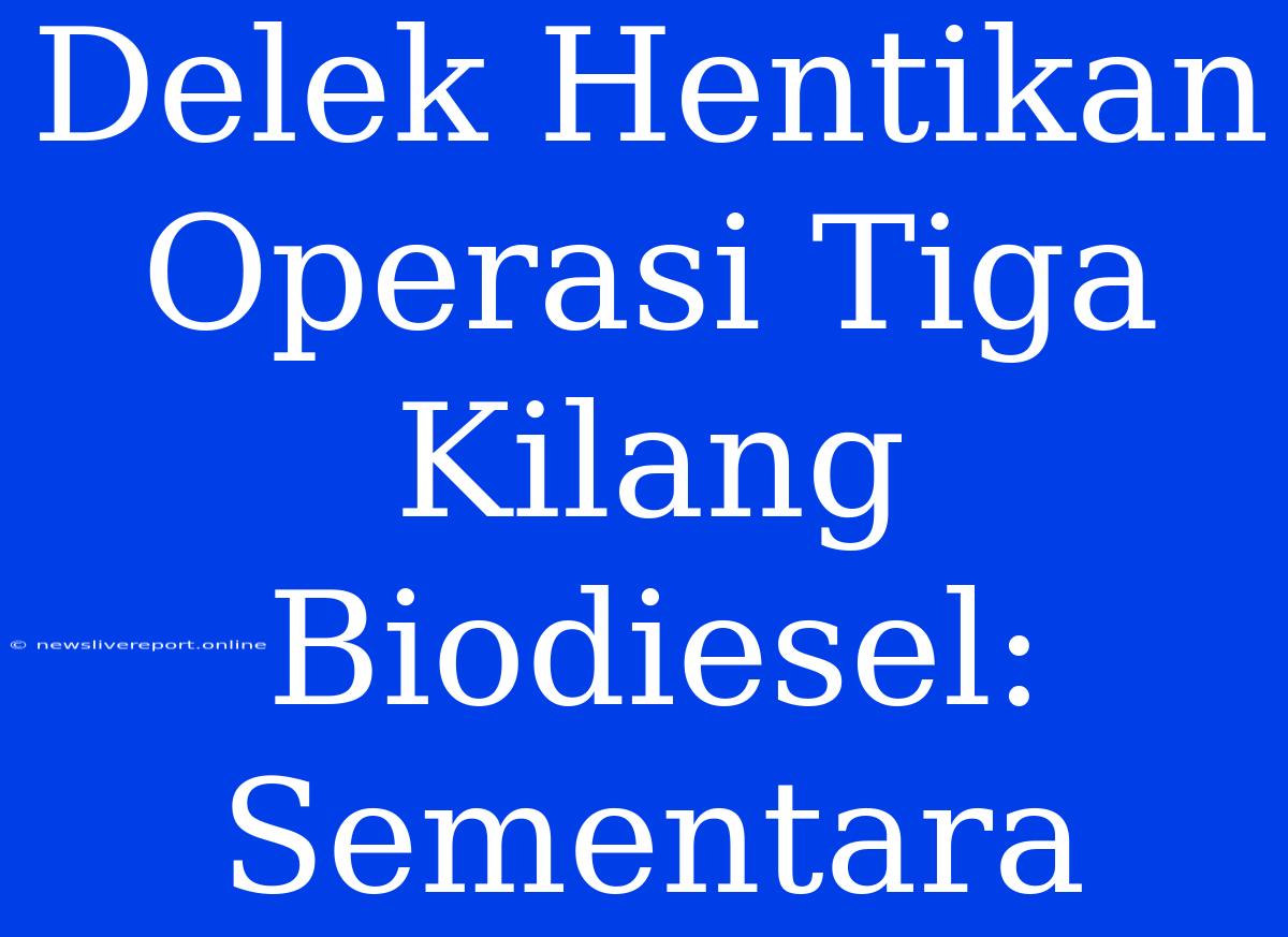 Delek Hentikan Operasi Tiga Kilang Biodiesel: Sementara