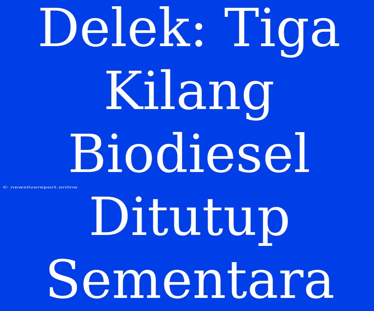 Delek: Tiga Kilang Biodiesel Ditutup Sementara