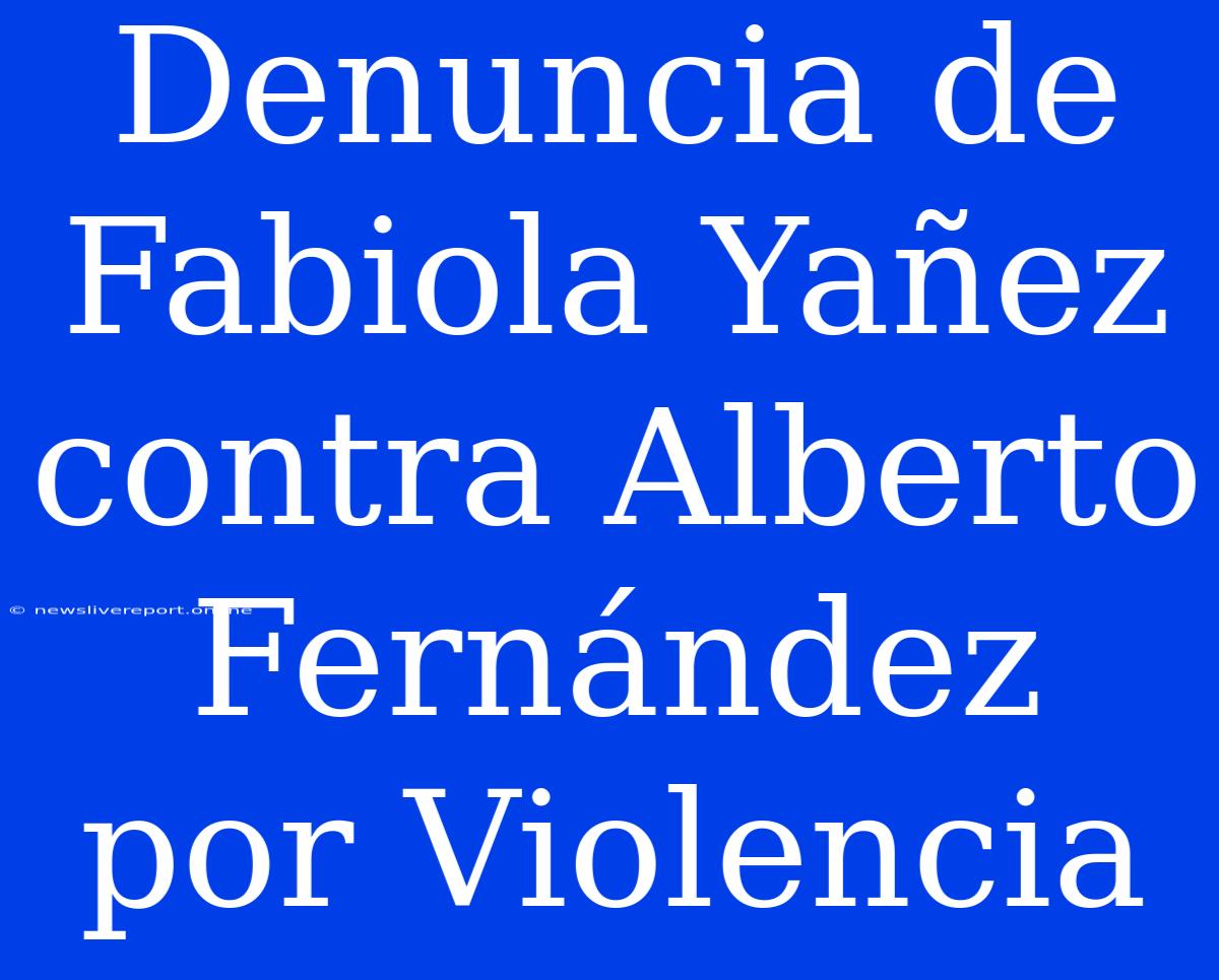 Denuncia De Fabiola Yañez Contra Alberto Fernández Por Violencia