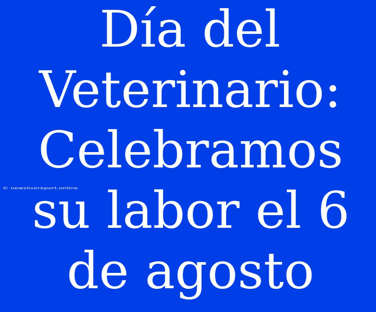 Día Del Veterinario: Celebramos Su Labor El 6 De Agosto