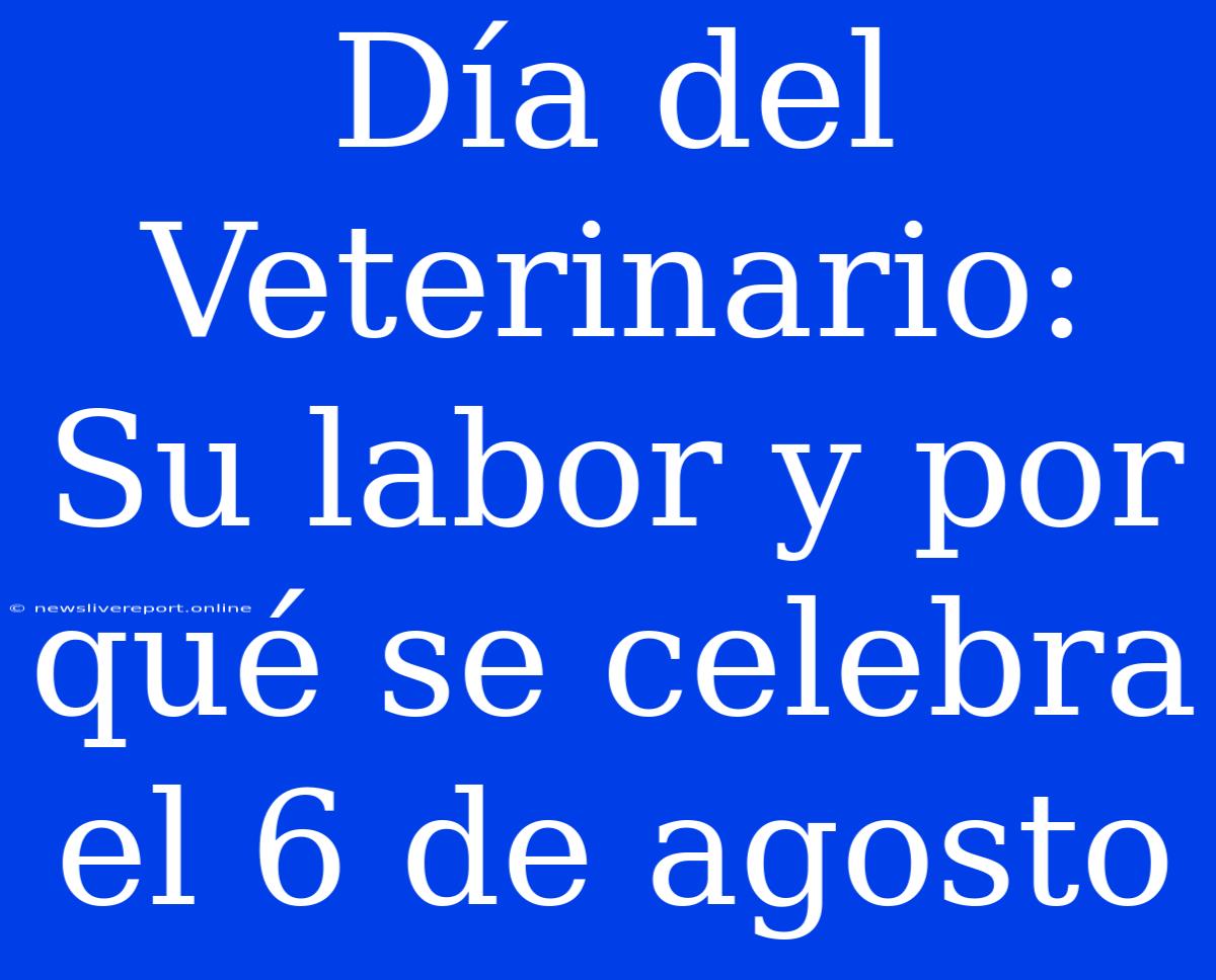 Día Del Veterinario: Su Labor Y Por Qué Se Celebra El 6 De Agosto