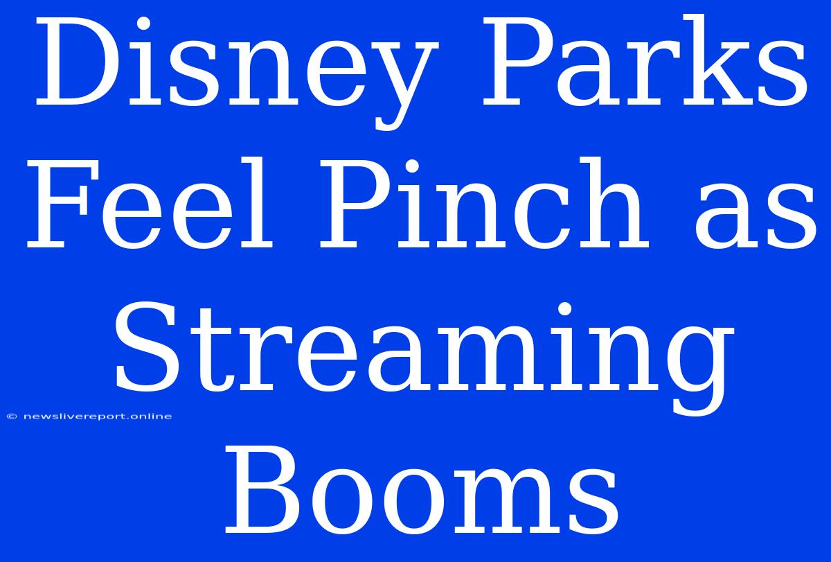 Disney Parks Feel Pinch As Streaming Booms