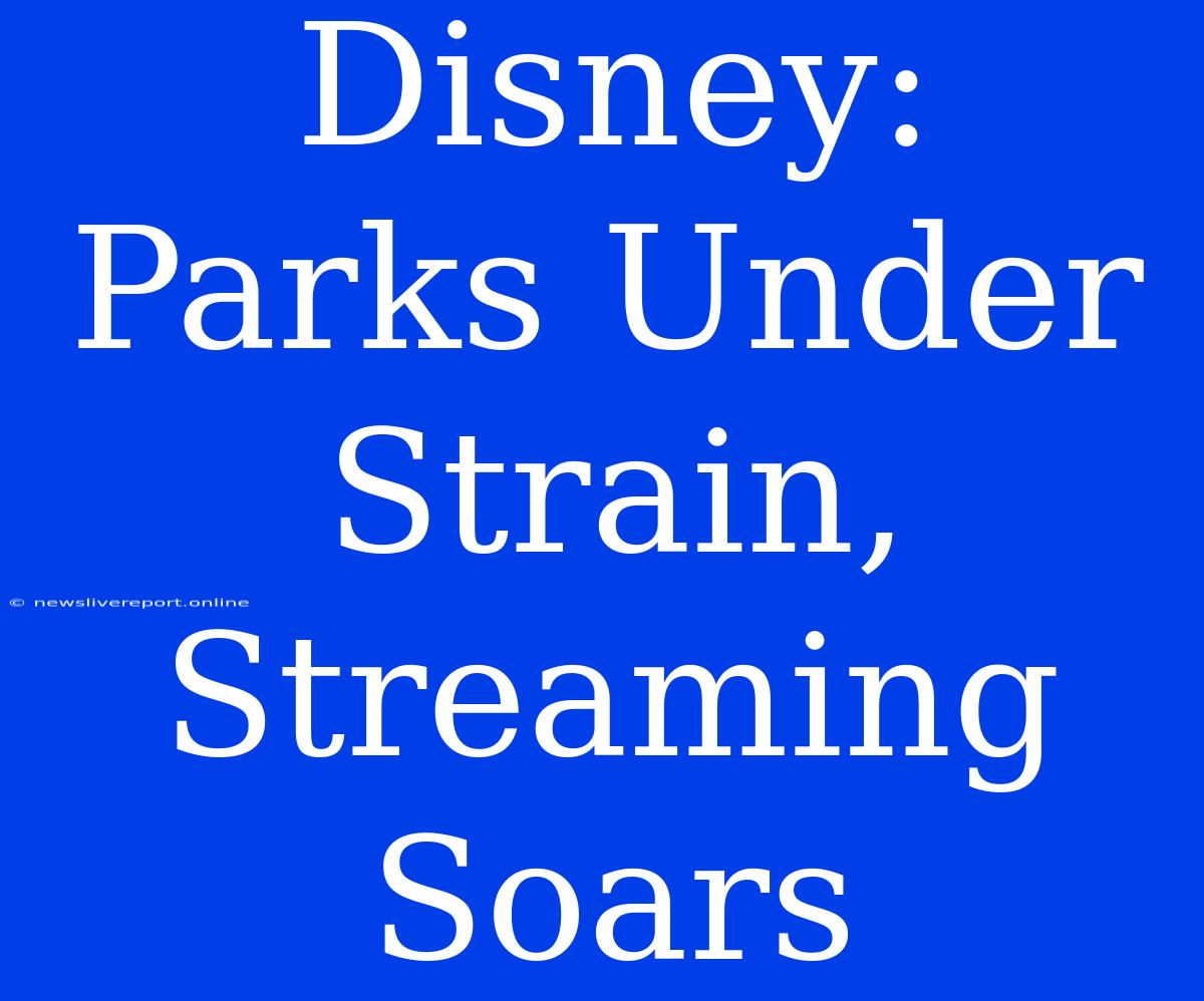 Disney: Parks Under Strain, Streaming Soars