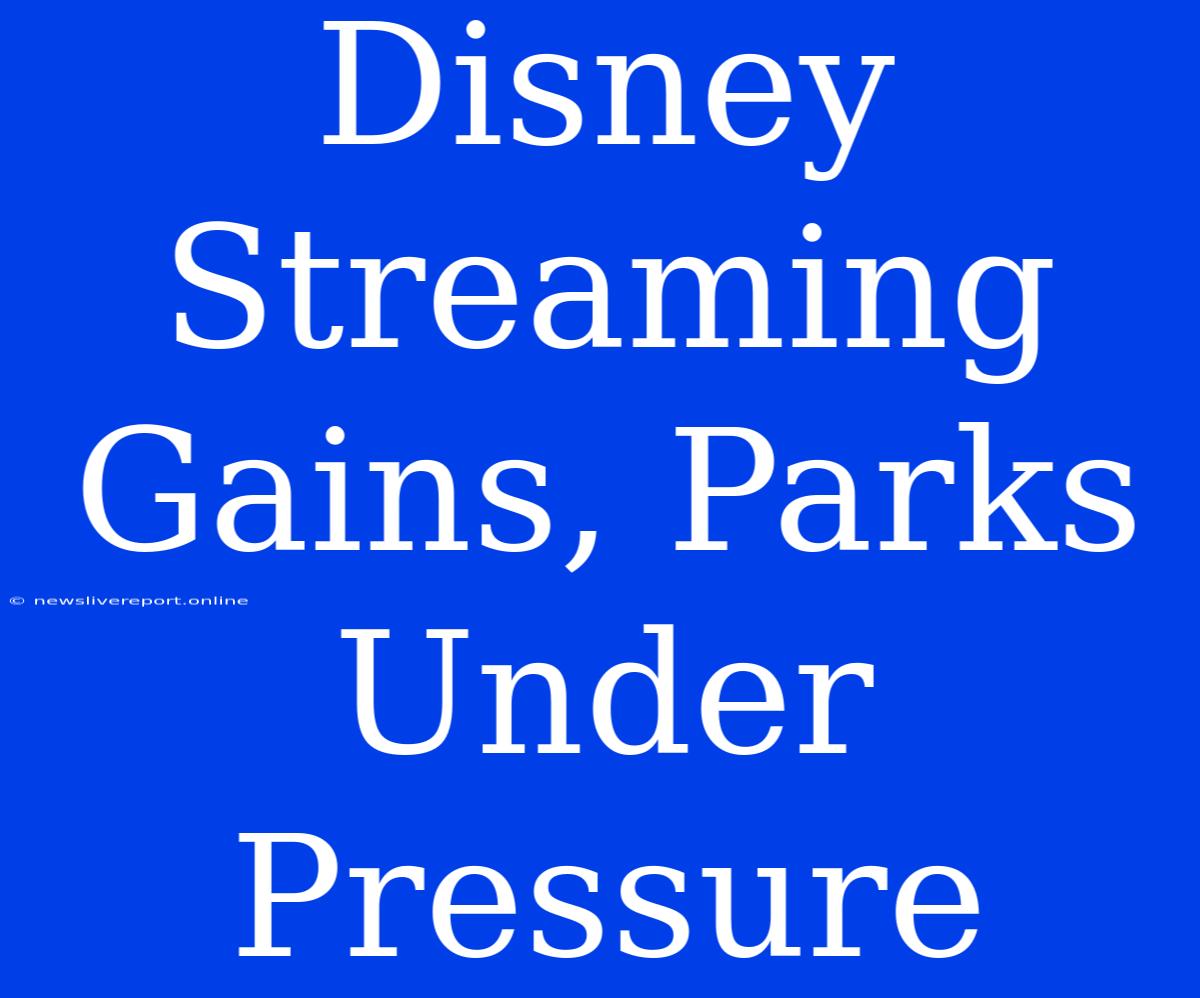 Disney Streaming Gains, Parks Under Pressure